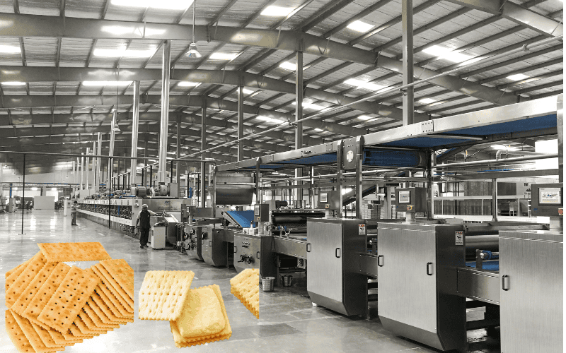 Soda Biscuit Machine