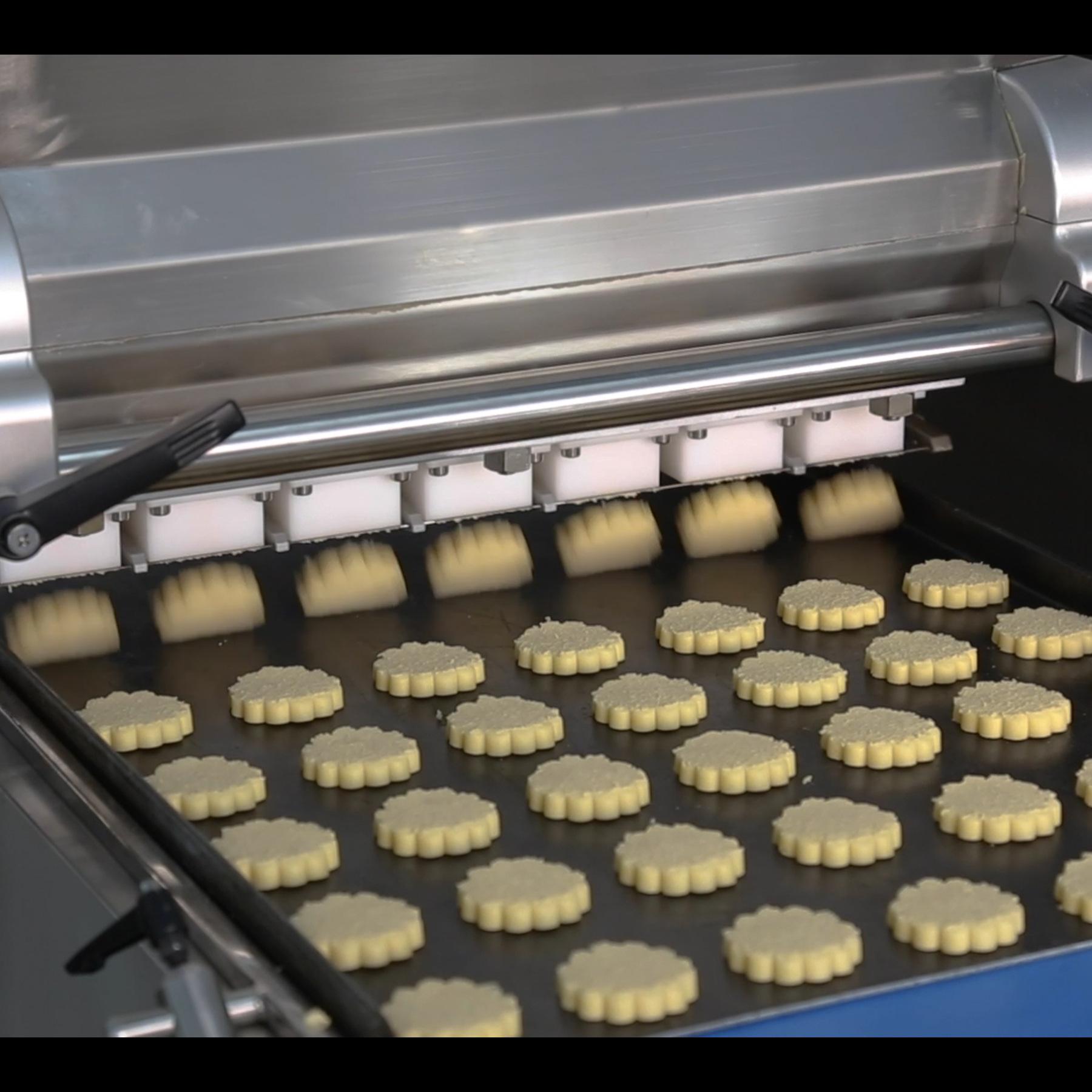 How to Choose the Right Biscuit Making Machine: An Expert Guide