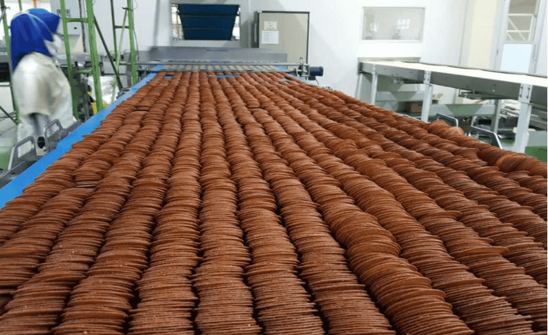 Biscuit Line Maintenance Guide: Daily to Deep Care for Food Safety