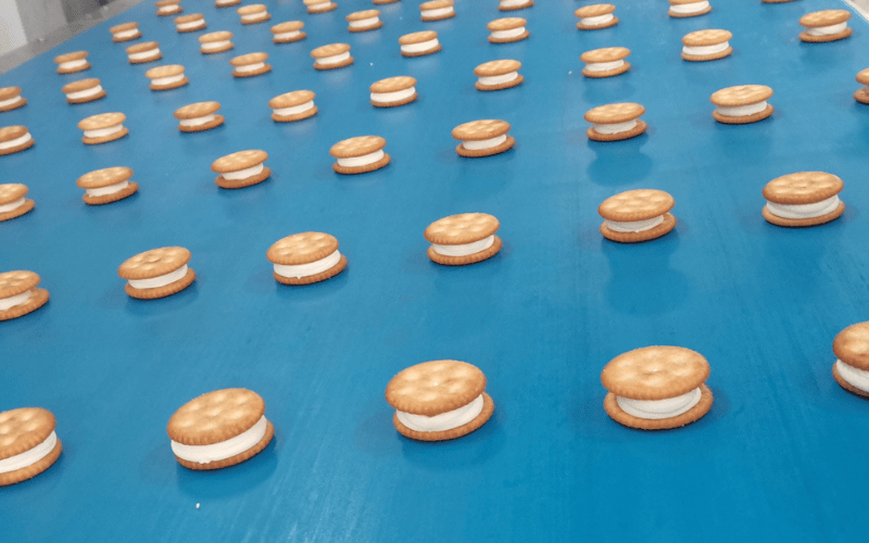 The Definitive Guide to High-Speed Cookie Capping: Integrating Servo-Driven Technology
