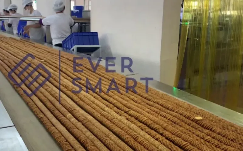 Star Wheel Stacker Deep Dive: The Ultimate Guide to High-Speed Biscuit & Cracker Stacking