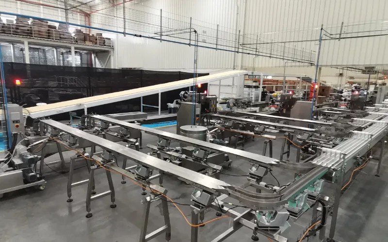 Automated Food Packaging Systems: Beyond the Machine—Your Complete Guide to Maximizing Biscuit Line 