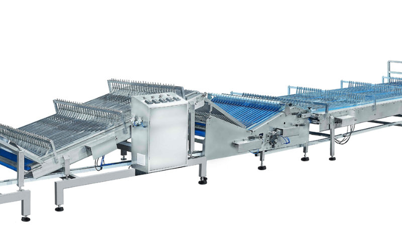 Flexible Factories: Designing a Line for Both Plain and Sandwich Biscuits Flexible Factories: Designing a Line for Both Plain and Sandwich Biscuits