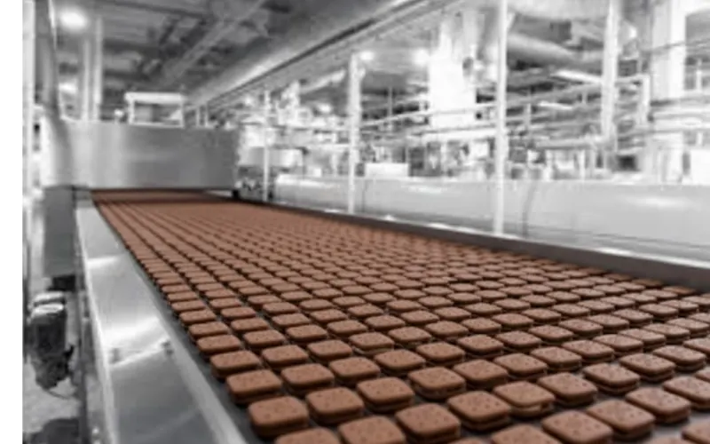 The "Bourbon" Challenge: Aligning Rectangular Biscuits at High Speeds The "Bourbon" Challenge: Aligning Rectangular Biscuits at High Speeds