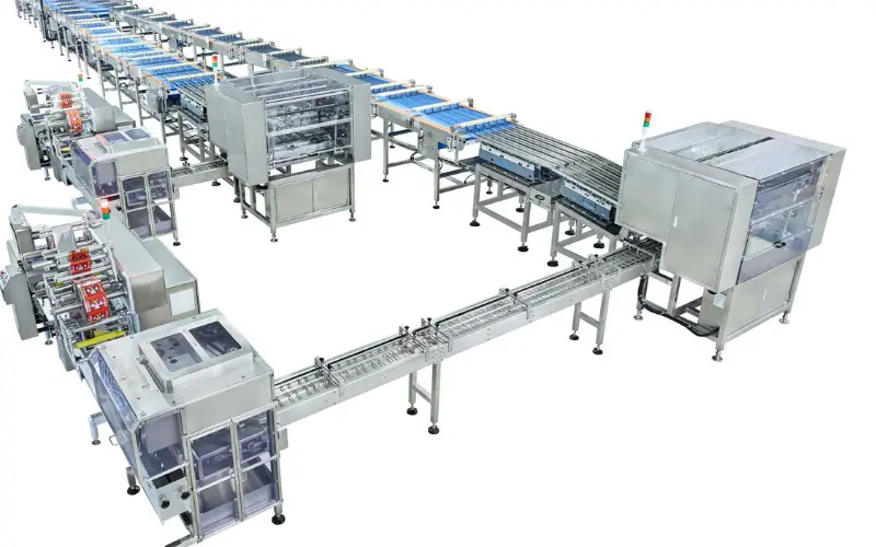 The ROI of Biscuit Line Automation: A Financial Guide to Labor Savings and Yield The ROI of Biscuit Line Automation: A Financial Guide to Labor Savings and Yield