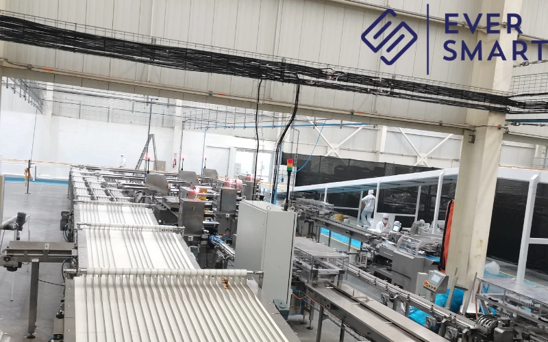High-Speed Biscuit Sandwiching Machine with Automatic Tray-Feeding System: The Ultimate Guide