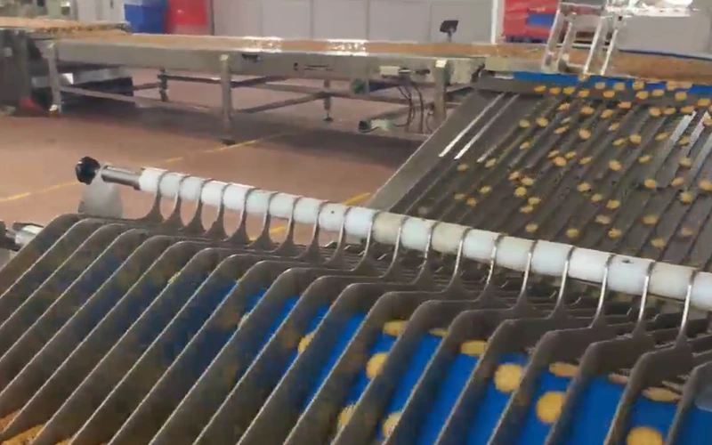 Custom Turnkey Biscuit Packaging Line: From Handling to Flow Wrapping